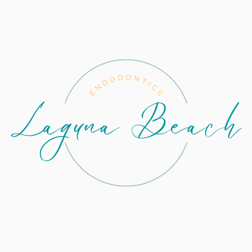 Elegant Circle Photographer Signature Initials Logo